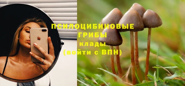 дживик Нефтекумск